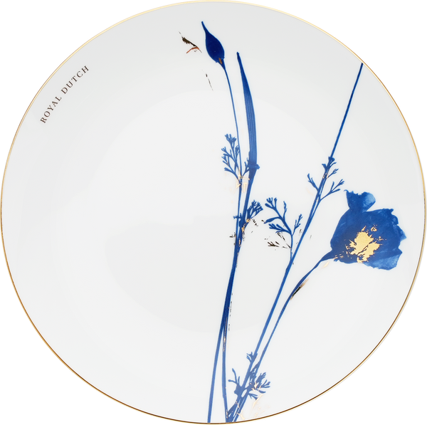 23cm Dinner Plate – Meconopsis