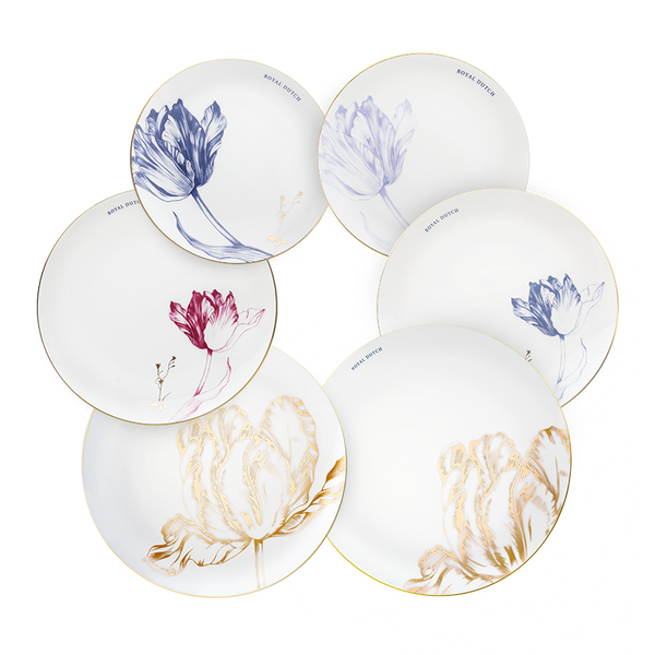 Dinner Plate Set – 6 Pieces