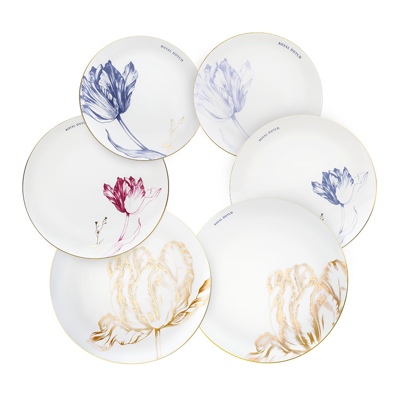 Dinner Plate Set – 6 Pieces